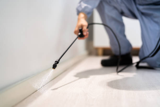 Bed Bug Pre-Treatment Preparation Assessment in Monteagle