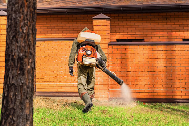 Bed Bug Clearance Verification and Documentation in Monteagle